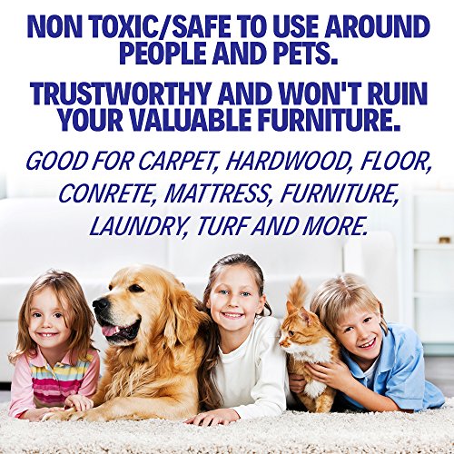 REMOVEURINE Pet Odor Eliminator for Home & Urine Destroyer Pet Urine
