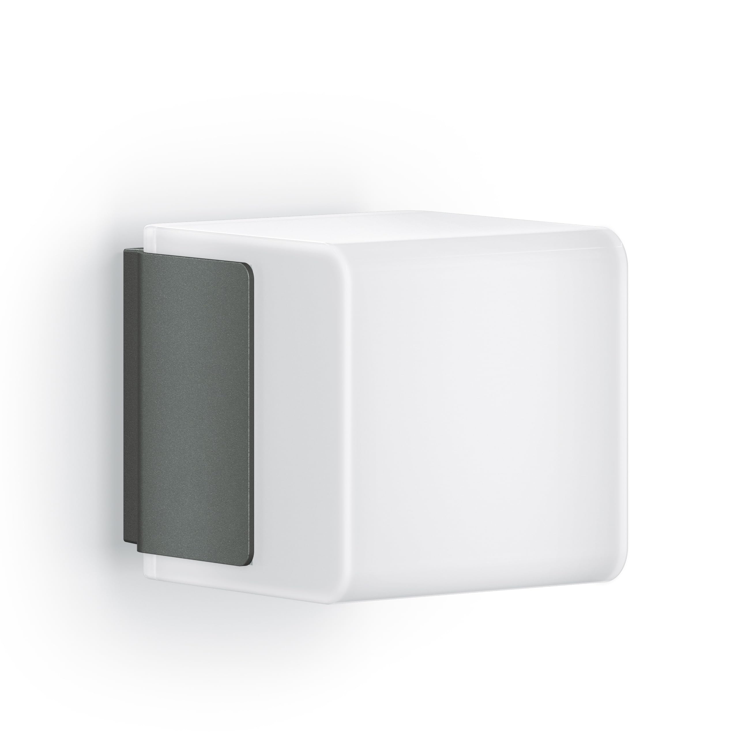 Steinel Outdoor Wall Light L 835 SC Anthracite, 160° Motion Sensor, Interconnectable, Adjustment by Bluetooth App