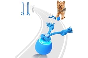 Saolife Interactive Dog Toys, Moving Dog Ball with Touch Activated, Active Rolling Ball for Puppy and Medium Dogs, Squeaky, USB Rechargeable