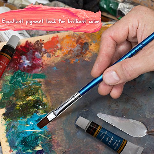 Oil Paints Set 24 Colors Premium Quality Oil Painting Kit for Artist