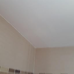 Limpiador de moho en paredes