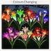 CLAONER Solar Garden Stake Lights, 3 Pack Solar Flower Lights Outdoor with 12 Lily Flowers Waterproof Muti-Color Changing LED Lights for Outdoor Decorative Like Garden, Yard, Patio, Walkway, Pathway