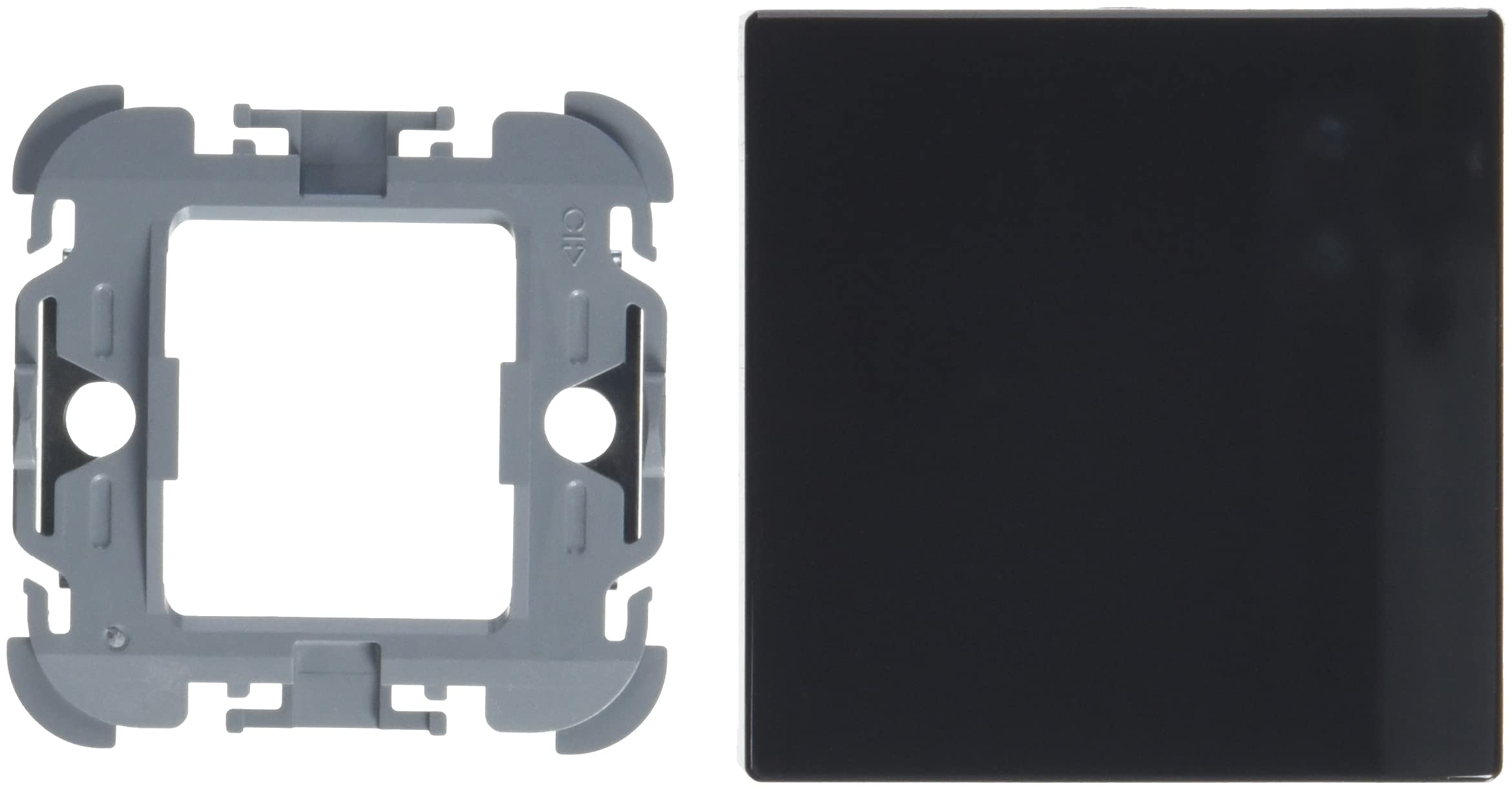 Busch-Jaeger 1786-81 Rocker Wall Plate