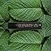 100% Organic Lip Balm by ELEVATE, 4 Pack, SPF 15, Peppermint, All Natural Ingredients: Beeswax, Coconut Oil, Jojoba Oil, Shea Butter, Peppermint Essential Oils, Best Lip Plumper Chapstick- Made in USA