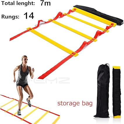 training ladder target