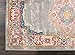 Nourison PSN03 Passion Traditional Area Rug, 2'2
