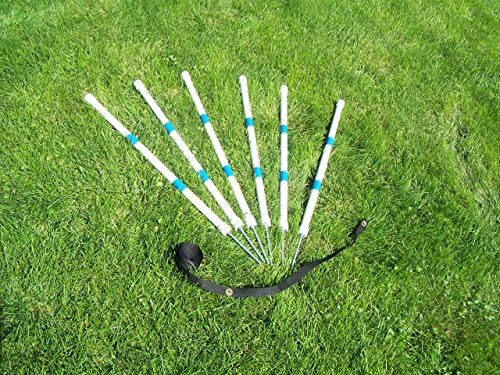 Agility Gear HD Stick-in-the-Ground Weave Poles ( 6 poles with Heavy Duty Spikes and Placer )