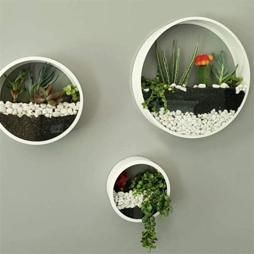 3 set of Metal Wall Hanging Planter,2-in-1 Portable Creative Flower Pots +Transparent Terrarium,Balcony Stair Plant Holder Iron Vase Flowers Hanger Glass Vertical Container with Detachable Screw - Image 5