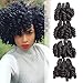 Brazilian Funmi Curly Human Hair 4 Bundles Natural Omber Black Unprocessed Remy Hair Short Bouncy Curls Weave Virgin Hair Extensions 200Gram/lot (10 10 10 10, New Funmi)