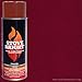 Woodeze Home Decorative Outdoor Fire Place Accessorie High Temp Paint - Mojave Red