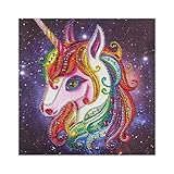 DIY 5D Diamond Painting Kits for Adults Unicorn Paint by Numbers