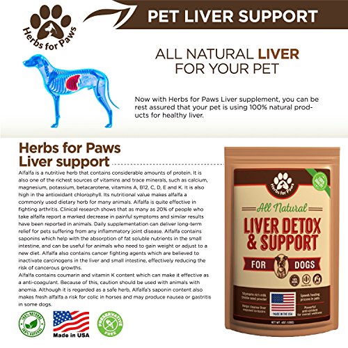 Milk Thistle for Dogs Liver Detox Support (120 GMS), Canine and Cat