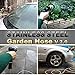 TheFitLife Flexible Metal Garden Hose - 25/50/75/100 FT 304 Stainless Steel Water Hose with Newest Spray Nozzle and Solid Metal Fittings, Lightweight, Kink Free, Durable and Easy to Store (125 Feet)