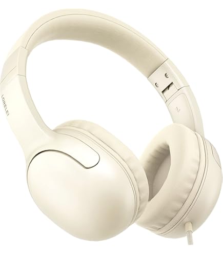 Amazon.com: LORELEI X6 Over-Ear Headphones with Microphone