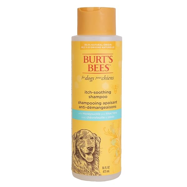 BURT’S BEES FOR PETS ITCH SOOTHING SHAMPOO WITH HONEYSUCKLE, 95% NATURAL ORIGIN FORMULAS, DOG SHAMPOO FOR ITCHY DOGS, DOG SHAMPOO ITCHY SKIN RELIEF, 16 OZ