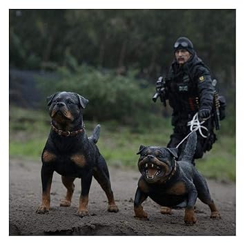 rottweiler accessories online