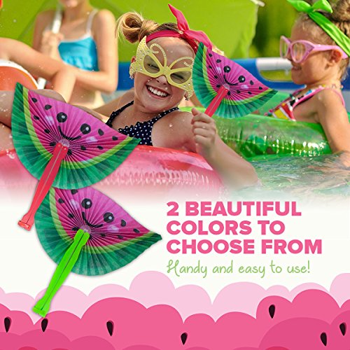 M & M Products Online 24-Pack Watermelon Paper Fans