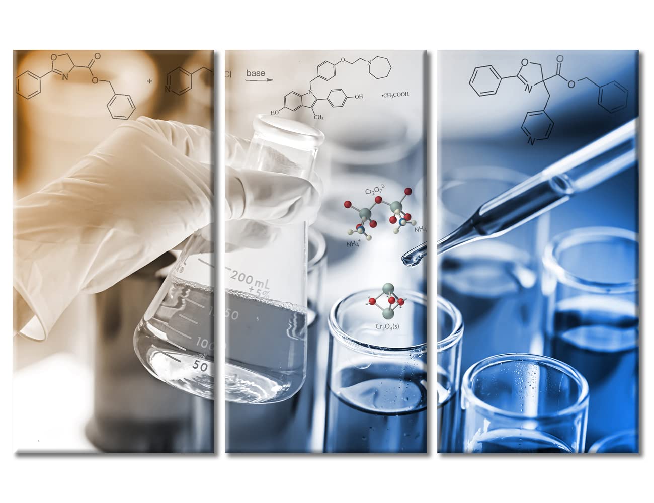 Young Scientist Reagent is Dripped Into the Test