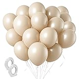 Cream Balloons 160 Pack 5 inch Latex Party Neutral