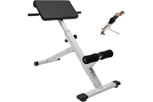 KITNEED Roman Chair Back Extension Machine Foldable 5 Position Adjustable Sit up Exercise Multi-Functional Hyperextension Bench Workout Equipment Ab Machine Angle Height Adjust Heavy-Duty for Home Gym