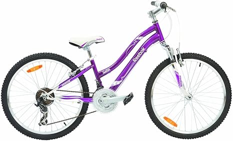 purple 24 inch bike