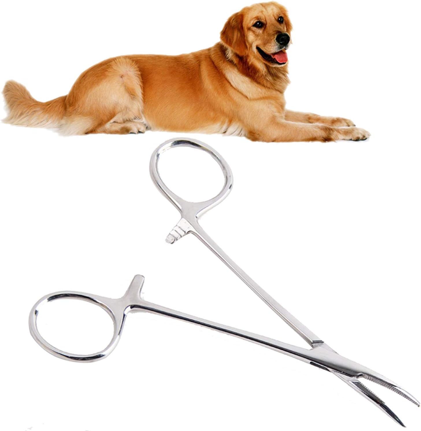 dog ear trimmer