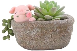 Youfui Cute Pig Gift Home Decor Pot, Succulent Planter Flowerpot Decor for Home Garden Office Desk Ormament, Fairy Garden Gif