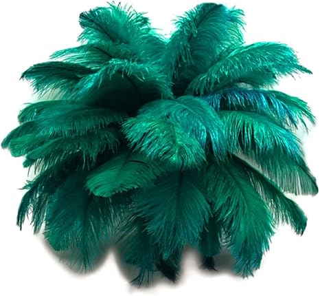 Amazon Com Moonlight Feather 1 2 Lb 14 17 Teal Green Large