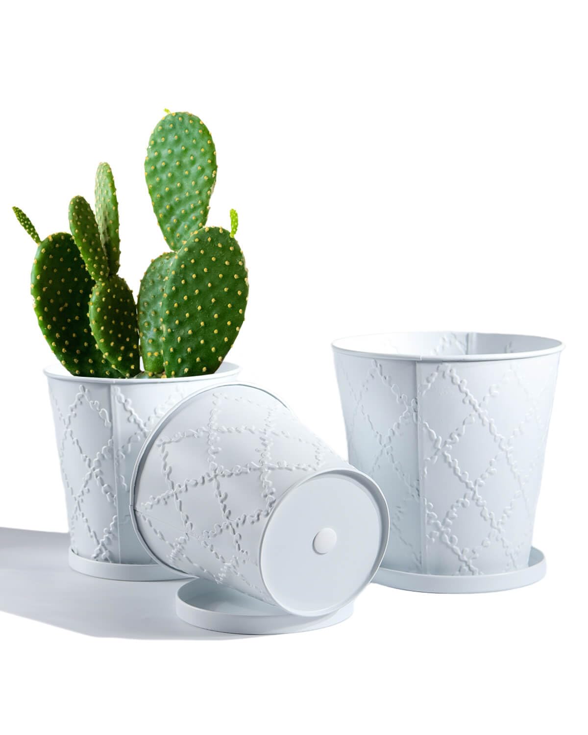 Photo 1 of ****ONE*** vensovo White Galvanized Planters - 3 Pack Metal Pot with Drainage & Saucers – Rustic Tin Herb Pots for Indoor/Outdoor Plants – Farmhouse Flower Buckets for Wedding or Home Decor
