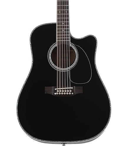 Amazon.com: Takamine EF341DX Dreadnought Acoustic-Electric Guitar