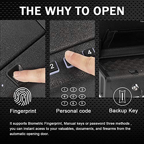 AEGIS Gun Safe, Biometric Fingerprint Pistol Safe for 2 Pistols with