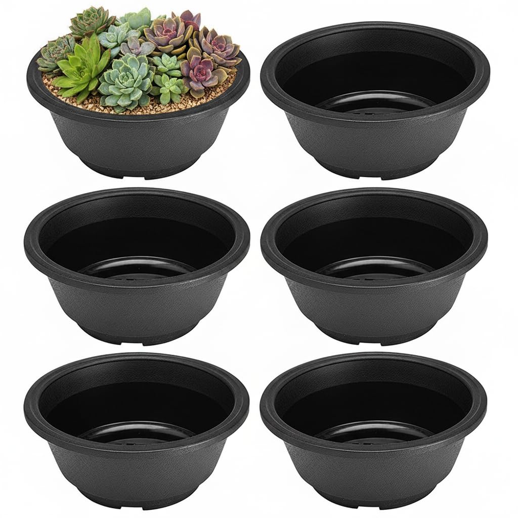 Housoutil Plastic Succulent Plant Pot, 6Pcs Plastic Flower Pots, Nursery Bonsai Planter with Hollow Bottom for Succulents Seedlings Cuttings Transplanting (Black)