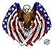 Bald Eagle American Flag Eagle Wings Decal with Black Outline is 5.0