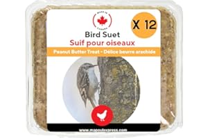 Wild Bird Suet Cakes, High-Energy Food for Backyard Birds (12 Pack, Peanut Butter)
