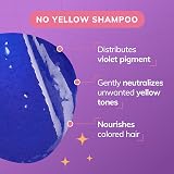 FANOLA No Yellow Shampoo 350ml Purple Toner for Grey Bleached Hair view 3