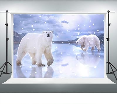 Amazon Com Polar Bear Backdrop Winter North Pole Snow And Ice