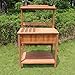 Merry Garden Potting Bench with Recessed Storage
