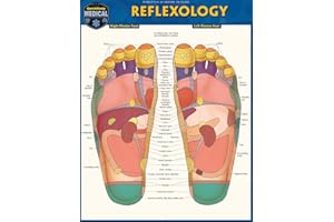 Reflexology: a QuickStudy Laminated Reference Guide