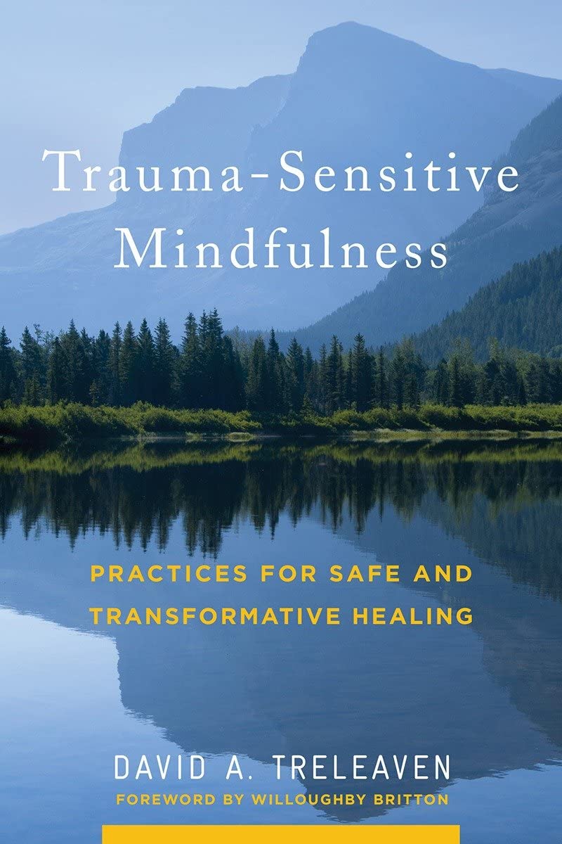 Trauma-Sensitive Mindfulness: Practices for Safe Healing : Treleaven, David  A.: Books - Amazon