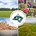 (2 Pack) Plemo Lawn Sprinklers, Automatic 360 Rotating Sprinklers for Garden, Adjustable Irrigation System with Three Arm and Metal Weighted Base, Brass Water Outlet