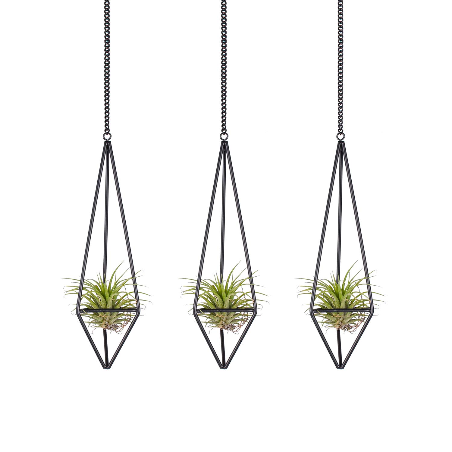 Ecosides 3 PCS Air Plant Holder,Modern Freestanding Metal Himmeli Tillandsia Rack Air Plant Display Geometric Hollow Pyramid Planter with Chain Home Decor for Wall,Ceiling,Black, Small
