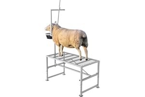 Lezbanz 600 LBs Goat Stand with Feed Bin, Goat Milking Livestock Stand for Sheep Trimming and Milking, for Hoof Trimming, with Feeder, Adjustable Size, Iron Silver