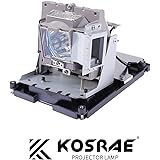 BL-FU310B / 5811118436-SOT Replacement Lamp for Optoma EH500 X600 DH1017 DH1014 Projector