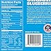 Freeze Dried Blueberry Snack by Homegrown Organic Farms – Organic Non-GMO Freeze-Dried Blueberry Chips – All-Natural Vegan Freeze Dried Fruit 1.2 oz