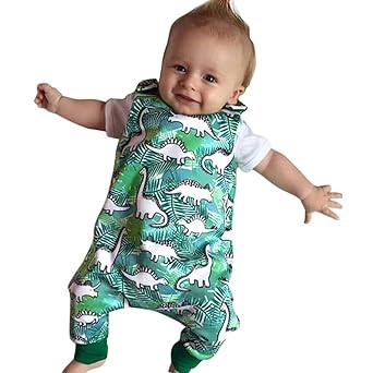 dinosaur outfit baby