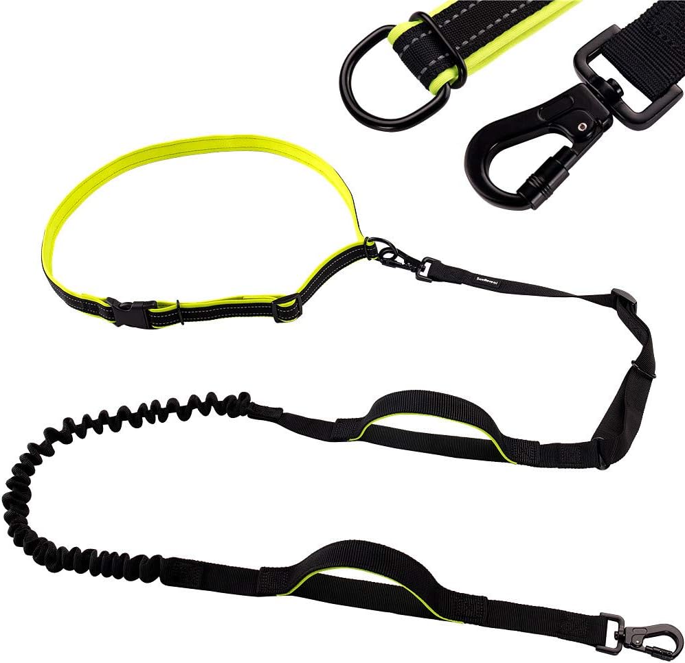 SCENEREAL Hands Free Dog Lead - Reflective Bungee Lead with Double-Lock Clasp for Large Dogs Up to 500 lb, Soft Dual-Handle Adjustable Waist Belt for Running