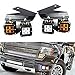 iJDMTOY LED Pod Light Fog Lamp Compatible With 2010-14 Ford SVT Raptor, Includes (4) 20W High Power Xenon White LED Cubes, (2) Amber Lens, Foglight Location Mounting Brackets & On/Off Switch Wiring