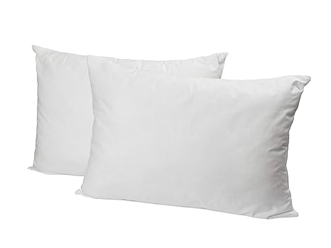 Buy Doubletree Pacific Coast Down Around Standard Pillow By