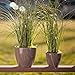 Santino, Self Watering Planter Deco 7.9 Inch,Jade, Indoor Decorative Flower Pot with Drainage Cartridge and Water Level Indicator