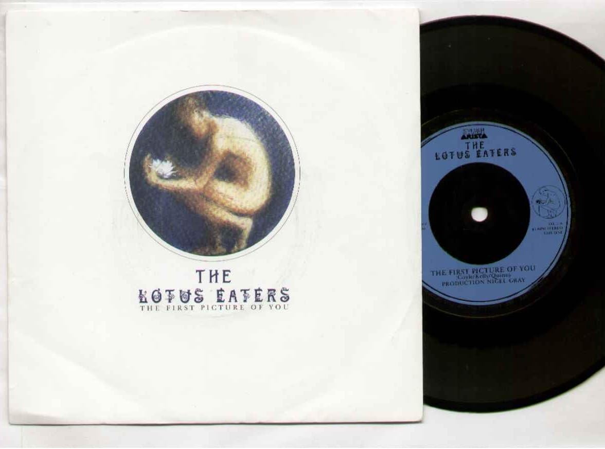 LOTUS EATERS - THE FIRST PICTURE OF YOU - 7 INCH VINYL / 45